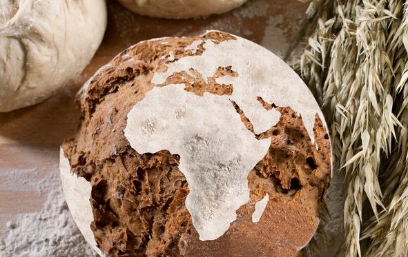 photo:food environments in africa - food samsa